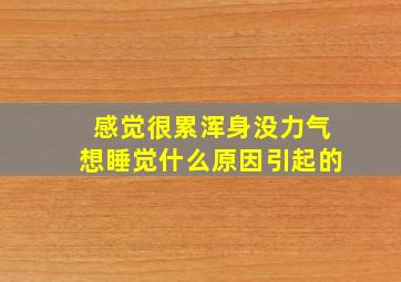 感觉很累浑身没力气想睡觉什么原因引起的