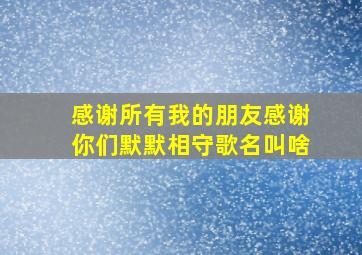 感谢所有我的朋友感谢你们默默相守歌名叫啥