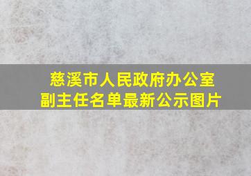 慈溪市人民政府办公室副主任名单最新公示图片