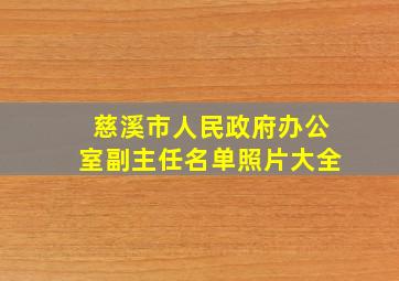 慈溪市人民政府办公室副主任名单照片大全