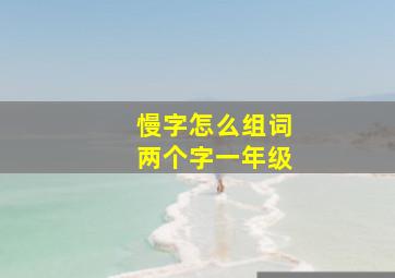 慢字怎么组词两个字一年级