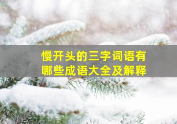 慢开头的三字词语有哪些成语大全及解释