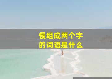 慢组成两个字的词语是什么