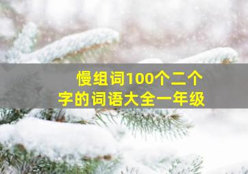 慢组词100个二个字的词语大全一年级