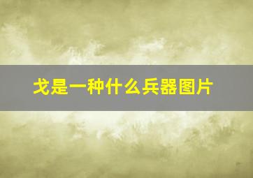 戈是一种什么兵器图片