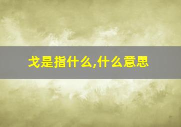 戈是指什么,什么意思