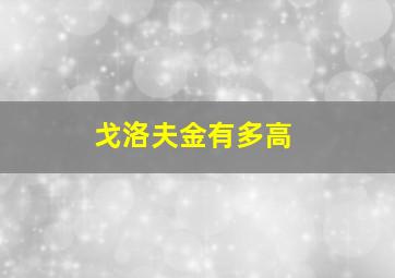 戈洛夫金有多高