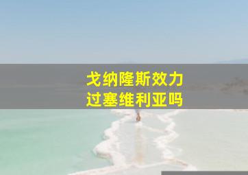 戈纳隆斯效力过塞维利亚吗