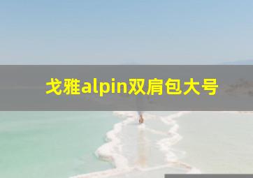 戈雅alpin双肩包大号