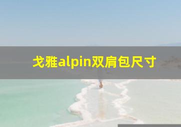 戈雅alpin双肩包尺寸