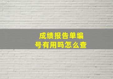 成绩报告单编号有用吗怎么查