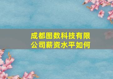 成都图数科技有限公司薪资水平如何