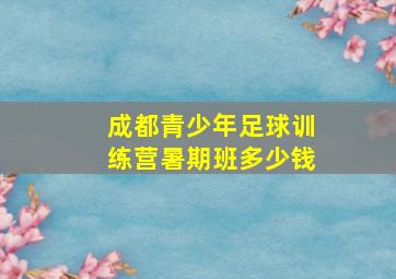 成都青少年足球训练营暑期班多少钱