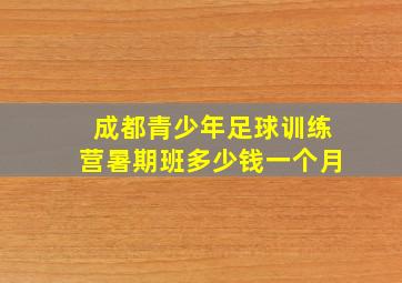 成都青少年足球训练营暑期班多少钱一个月