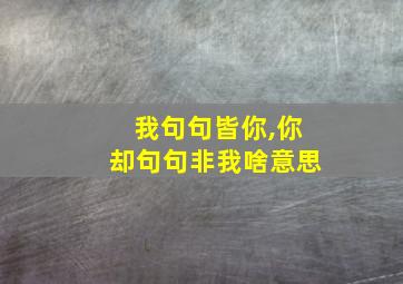 我句句皆你,你却句句非我啥意思