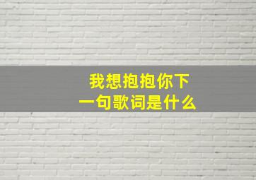 我想抱抱你下一句歌词是什么