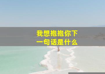 我想抱抱你下一句话是什么