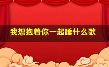 我想抱着你一起睡什么歌