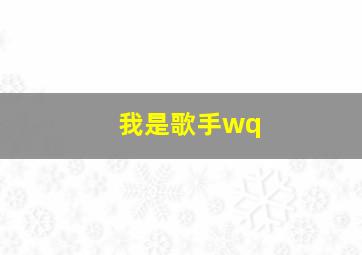 我是歌手wq