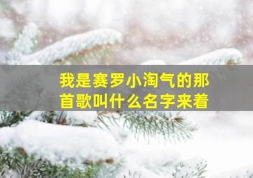 我是赛罗小淘气的那首歌叫什么名字来着