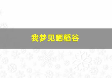 我梦见晒稻谷