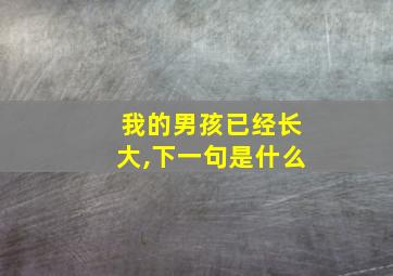 我的男孩已经长大,下一句是什么