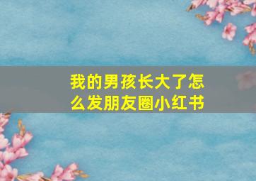 我的男孩长大了怎么发朋友圈小红书