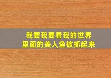 我要我要看我的世界里面的美人鱼被抓起来