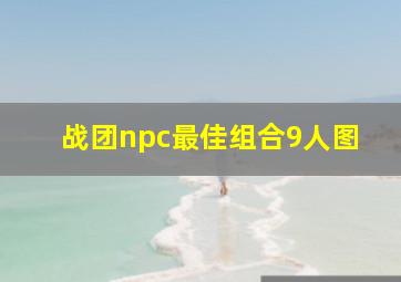 战团npc最佳组合9人图