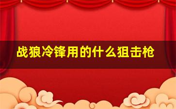 战狼冷锋用的什么狙击枪