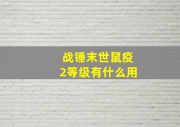 战锤末世鼠疫2等级有什么用