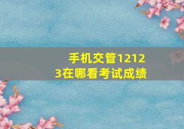 手机交管12123在哪看考试成绩