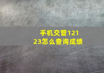 手机交管12123怎么查询成绩