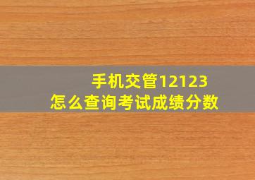 手机交管12123怎么查询考试成绩分数