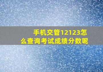 手机交管12123怎么查询考试成绩分数呢