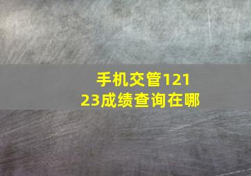 手机交管12123成绩查询在哪