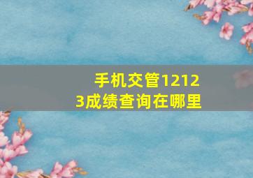 手机交管12123成绩查询在哪里