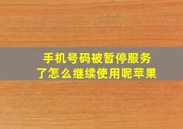 手机号码被暂停服务了怎么继续使用呢苹果