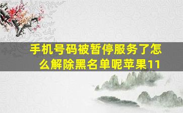 手机号码被暂停服务了怎么解除黑名单呢苹果11