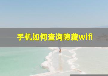 手机如何查询隐藏wifi