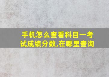 手机怎么查看科目一考试成绩分数,在哪里查询