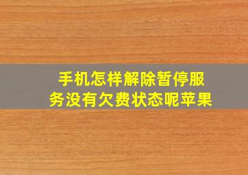 手机怎样解除暂停服务没有欠费状态呢苹果