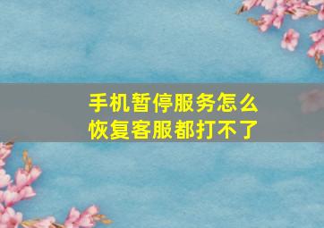 手机暂停服务怎么恢复客服都打不了