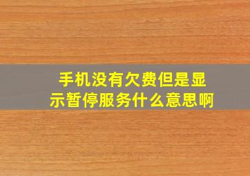 手机没有欠费但是显示暂停服务什么意思啊