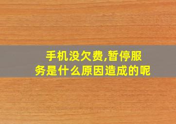 手机没欠费,暂停服务是什么原因造成的呢