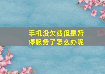 手机没欠费但是暂停服务了怎么办呢