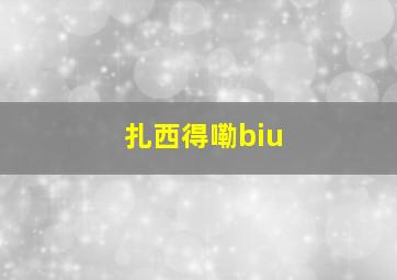 扎西得嘞biu