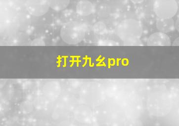 打开九幺pro