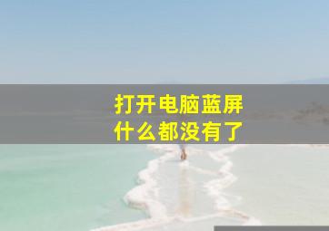 打开电脑蓝屏什么都没有了