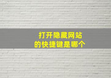 打开隐藏网站的快捷键是哪个